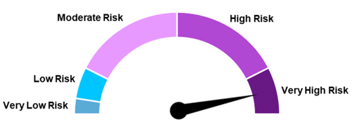 Electro-mechanical CAD Risk Score (EMCR) Gauge